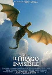 Il Drago Invisibile (2016) DVD9 Copia 1:1 Multi ITA