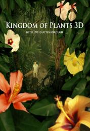 Nel regno segreto delle piante (2012) BDRA BluRay 3D Full AVC DTS-HD ITA ENG - DB
