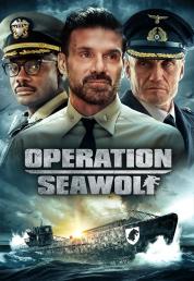 Operation Seawolf (2022) .mkv HD 720p E-AC3 iTA DTS AC3 ENG x264 - FHC