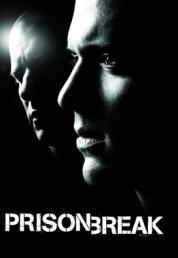 Prison Break - Serie Completa (2005/2017).mkv 1080p WEBDL DDP5.1 ITA ENG SUBS