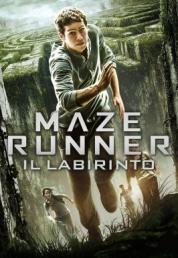 Maze Runner - Il labirinto (2014) .mkv Bluray 720p DTS AC3 iTA ENG x264 - DDN