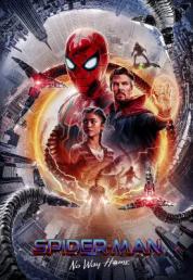 Spider-Man: No Way Home (2021) Blu-ray 2160p UHD HDR10 HEVC DV MULTi DD 5.1 ENG TrueHD 7.1-DDN