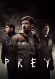 Prey (2021) .mkv 1080p WEB-DL DDP 5.1 iTA GER x264 - DDN