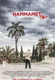 Hammamet (2020) .mkv HD 720p DTS AC3 iTA x264 - FHC