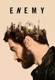 Enemy (2013) .mkv FullHD Untouched 1080p DTS-HD 5.1 AC3 iTA ENG AVC - FHC