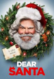 Dear Santa (2024) .mkv 1080p WEBRip DDP 5.1 iTA ENG x265 - FHC