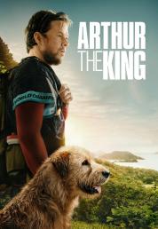 Arthur the King (2024) .mkv FullHD Untouched 1080p E-AC3 iTA TrueHD AC3 ENG AVC - FHC