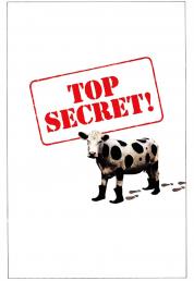 Top Secret! (1984) .mkv UHD BluRay Untouched 2160p AC3 iTA DTS-HD ENG DV HDR HEVC - FHC