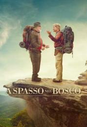 A spasso nel bosco (2015) .mkv FullHD Untouched 1080p DTS-HD MA AC3 ITA ENG SUBS - FHC