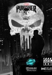 Marvel's The Punisher (2017-2019).mkv 1080p HEVC DSNP WEBDL DDP5.1 ITA ATMOS ENG SUBS