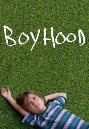 Boyhood (2014) .mkv UHD Bluray Untouched 2160p DTS AC3 iTA DTS-HD ENG DV HDR HEVC - FHC