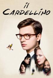 Il cardellino (2019) BDRA BluRay Full AVC DD ITA DTS-HD ENG Sub - DB