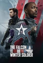 The Falcon and the Winter Soldier - St. 1 (2021).mkv WEBDL 2160p DVHDR HEVC EAC3 AC3 5.1 ITA ENG SUBS