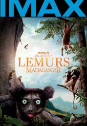 Madagascar: L'isola dei Lemuri (2014) BDRA BluRay 3D Full AVC DTS ITA DTS-HD ENG - DB