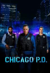 Chicago PD - Stagione 11 [07/13] (2024) .mkv 1080p HEVC WEBMUX ITA ENG EAC3 SUBS [ODINO]