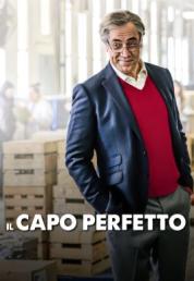 Il capo perfetto (2021) .mkv FullHD 1080p DTS AC3 iTA SPA x264 - DDN