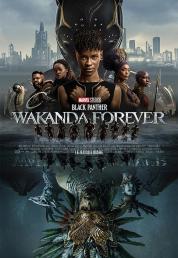 Black Panther: Wakanda Forever (2022) BDRA BluRay 3D Full AVC E-AC3 ITA DTS-HD ENG Sub - DB