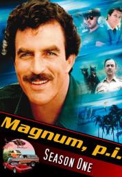 Magnum P.I. - Stagione 1 (1980) .mkv BDMux AC3 iTA ENG x264