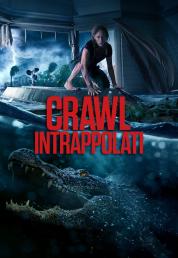 Crawl - Intrappolati (2019) .mkv UHD Bluray Untouched 2160p E-AC3 iTA DTS-HD ENG DV HDR HEVC – DDN
