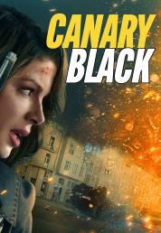 Canary Black  (2024).mkv 1080p WEB-DL DDP 5.1 iTA ENG H264 - FHC