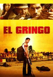 El Gringo (2012) BDRA BluRay 3D 2D Full AVC DTS-HD ITA ENG Sub - DB