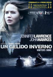 Un gelido inverno (2010) Full BluRay AVC 1080p DTS-HD MA 5.1 iTA ENG