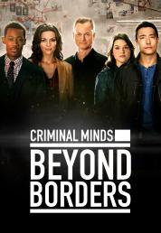 Criminal Minds: Beyond Borders - Serie Completa (2016-2017).mkv 1080p WEBDL DDP5.1 ITA ENG SUBS