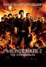 I mercenari 2 (2012) .mkv FullHD 1080p DTS AC3 iTA ENG x264 - FHC