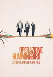 Operazione Hummingbird - È tutto appeso a un filo (2018) .mkv HD 720p AC3 iTA DTS AC3 ENG - FHC x264