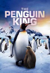 The Penguin King (2012) Full HD Untouched 1080p AC3 ITA DTS-HD ENG - DB