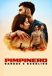 Pimpinero: Morte e Contrabbando (2024) .mkv 2160p HDR WEB-DL DDP 5.1 iTA SPA H265 - FHC