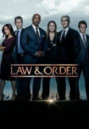 Law & Order - I due volti della giustizia - Stagione 22 (2023).mkv WEBMux 1080p HEVC ITA ENG DD5.1 x265 [12/??]