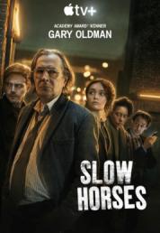 Slow Horses - Stagione 1-2-3 (2024)[1/3].mkv 2160p DVHDR WEBDL DD5.1 ATMOS ITA ENG SUBS