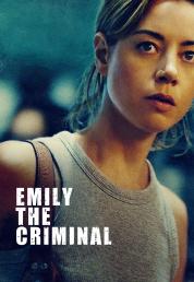 Emily the Criminal (2022) .mkv 720p WEB-DL AC3 5.1 iTA E-AC3 ENG x264 - DDN
