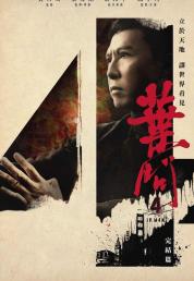 Ip Man 4 (2019) .mkv FullHD 1080p AC3 iTA CHi HEVC x265 - DDN