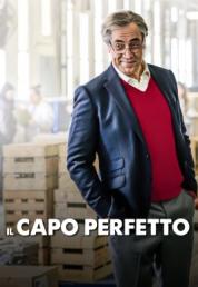 Il capo perfetto (2021) .mkv HD 720p DTS AC3 iTA SPA x264 - DDN