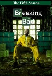 Breaking Bad - Reazioni collaterali - Stagione 5 (2012) 4x Full Bluray AVC DD 5.1 iTA DTS-HD 5.1 ENG - FHC