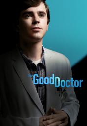 The Good Doctor - Stagione 6 (2023).mkv WEBMux 1080p HEVC ITA ENG x265 [Completa]
