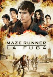 Maze Runner - La fuga (2015) Blu-ray 2160p UHD HDR10 HEVC DTS 5.1 iTA/SPA/GER DTS-HD 7.1 ENG